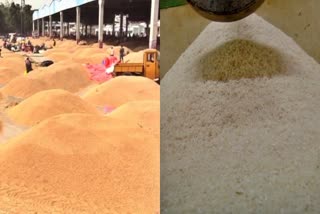 Rice price hike  drought and lack of water  paddy crop  ಭತ್ತದ ಬೆಳೆಗೆ ನೀರಿನ ಕೊರತೆ  ಗಗನಕ್ಕೇರಿದ ಅಕ್ಕಿ ಬೆಲೆ