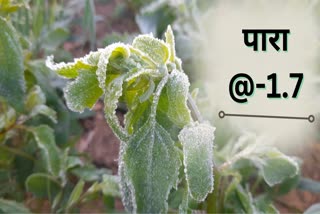 Fatehpur is the coldest in the plains.