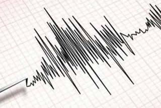 Mild earthquake tremors shook Delhi-NCR and Kashmir valley region on Thursday.