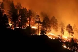 massive fire broke out in the forest area  along LoC in Poonch