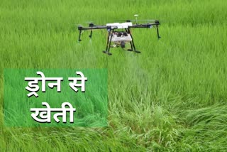 drone in farming