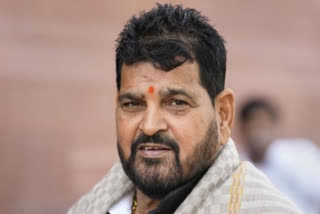 BRIJ BHUSHAN SHARAN SINGH