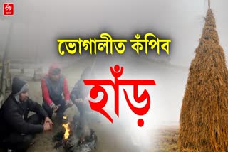 Winter in Assam