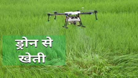 drone in farming