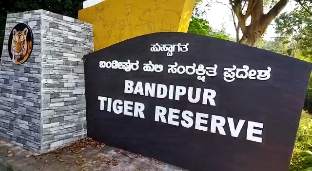 Recruitment of Soligas  forest fire watchers  Bandipur forest  ಸೋಲಿಗರಿಗೆ ನೌಕರಿ ನೆರವು  ಬಂಡೀಪುರ ಅರಣ್ಯ  ಕಾಡ್ಗಿಚ್ಚು ಕಾವಲು