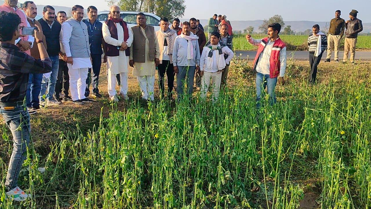 Morena sabalgarh hail affected