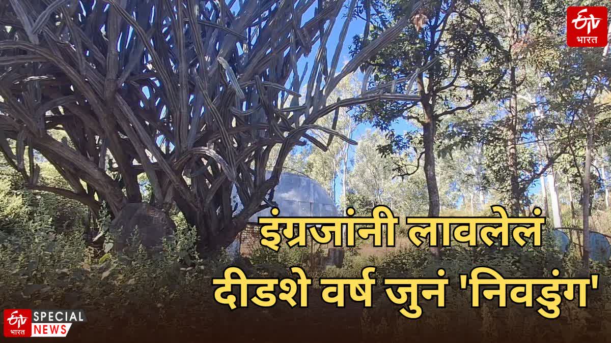 Amravati Cactus Garden environmentalist Demand that the cactus garden in chikhaldara be reopened