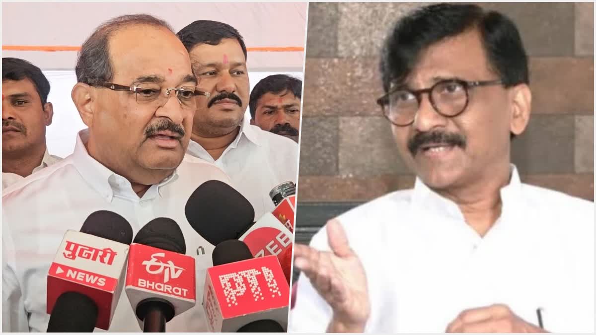 Radhakrishna Vikhe Patil reaction on shivsena ubt will contest local bodies elections independently