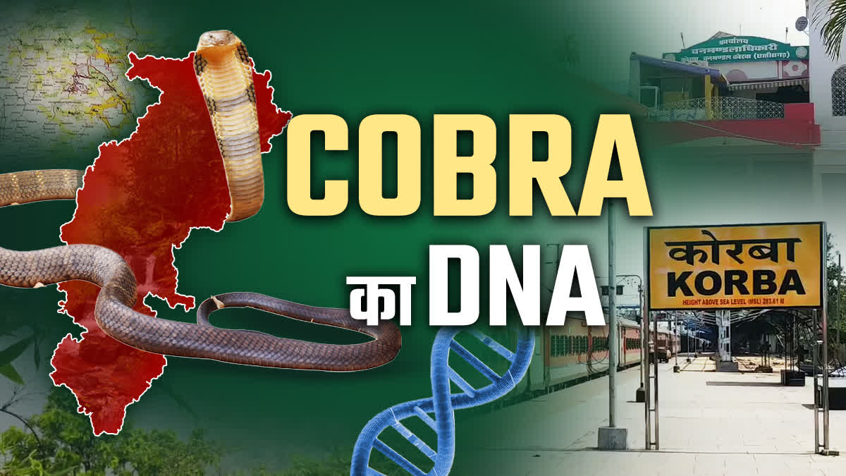 DNA ANALYSIS OF KING COBRA