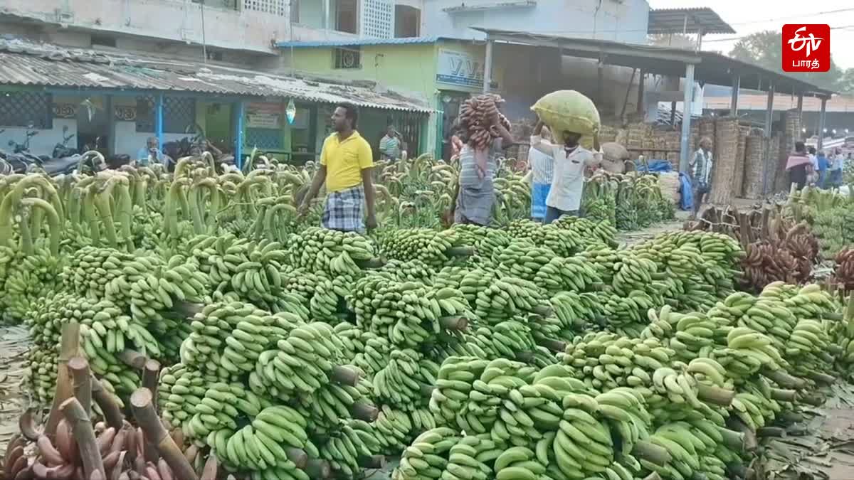 தூத்துக்குடி காய்கறி சந்தையில் விற்பனைக்கு வந்துள்ள வாழைத்தார்கள்