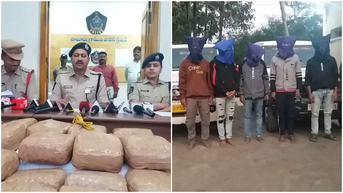 The Police Caught Ganja In Some Places In Manyam Districts