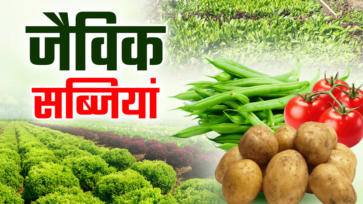 SHAHDOL ORGANIC FARMING