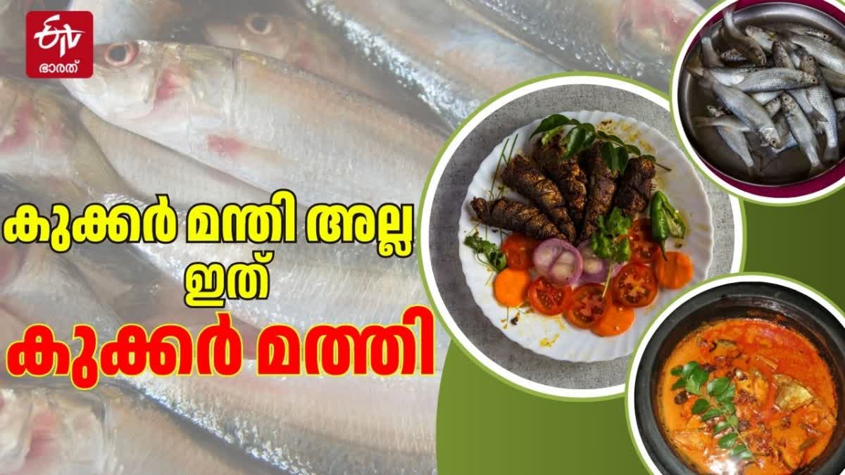 EASY SARDINES RECIPE MALAYALAM  COOKER MATHI INGREDIENTS  കുക്കര്‍ മത്തി റെസിപ്പി  മത്തി പെരട്ട് റെസിപ്പി