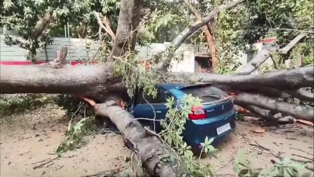 TREE FELL ON ABDUL BARI SIDDIQUI HOUSE