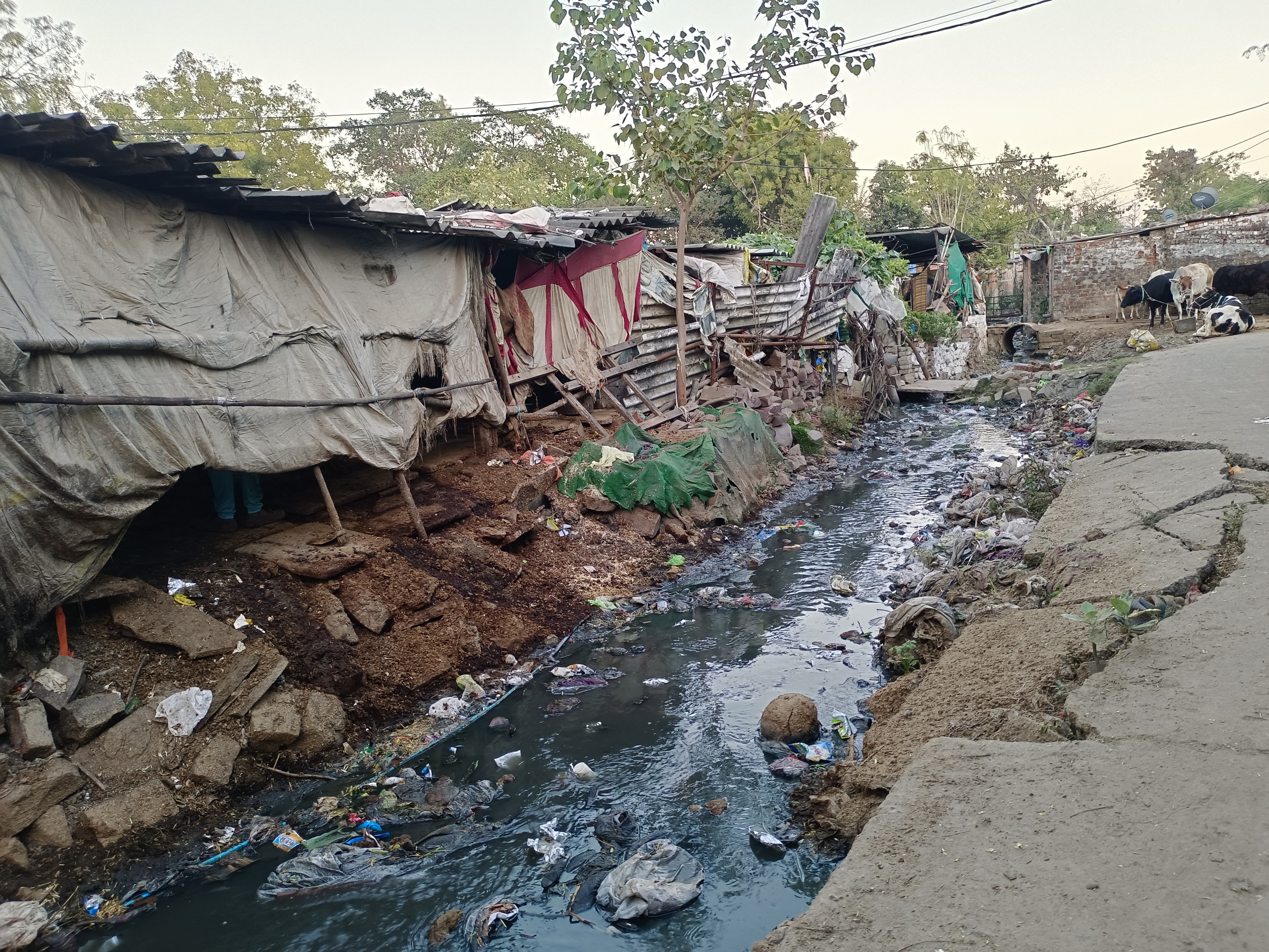 BHOPAL SLUM ENCROACHMENT