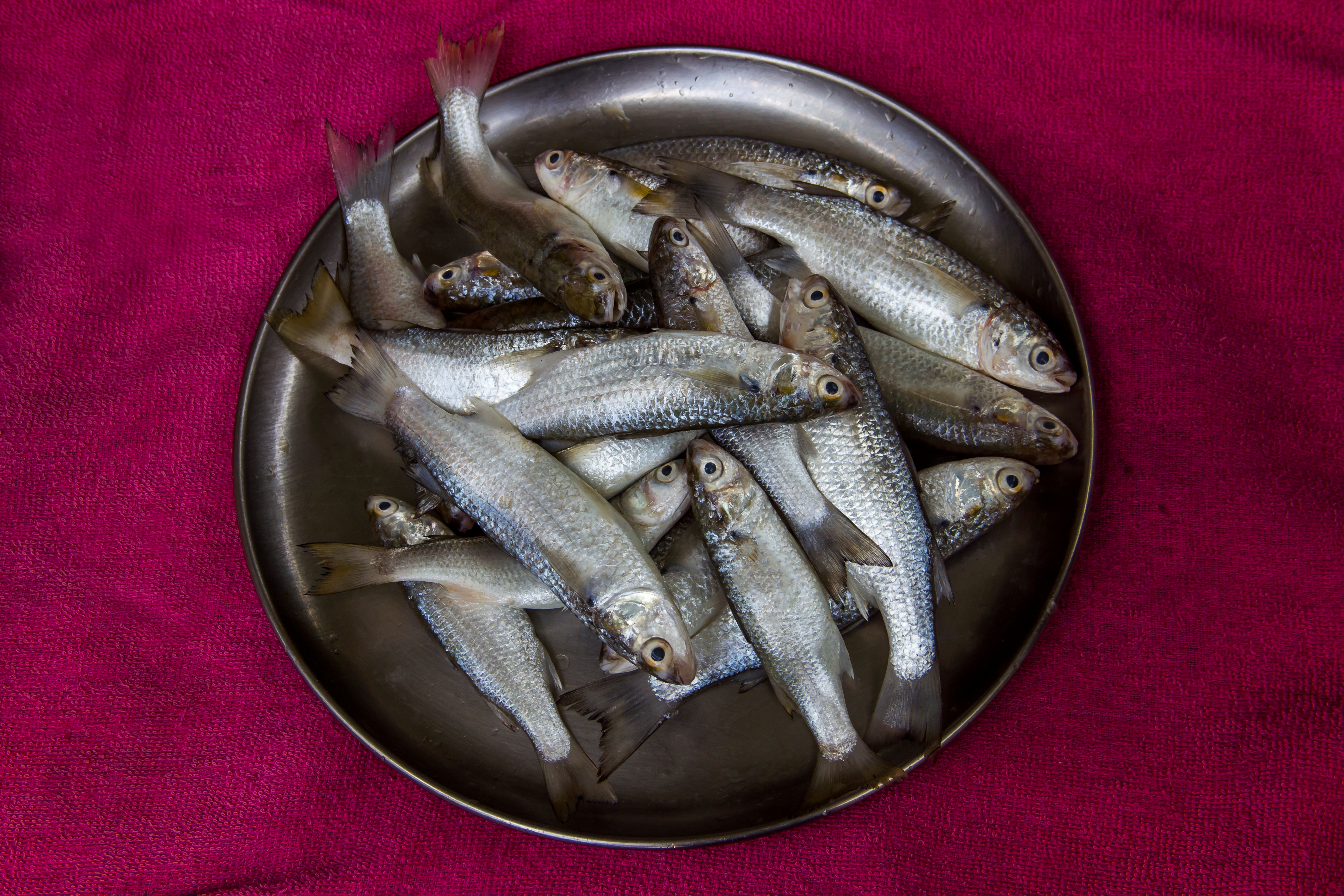 EASY SARDINES RECIPE MALAYALAM  COOKER MATHI INGREDIENTS  കുക്കര്‍ മത്തി റെസിപ്പി  മത്തി പെരട്ട് റെസിപ്പി