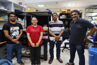 Experts in cancer cell biology and microfluidics from the Indian Institute of Science (IISc), Bengaluru designed a novel dual organ-on-chip – a microfluidic culture platform that reconstructs the anatomy of a tumour sitting near a blood vessel, which is amenable to microscopic observation.