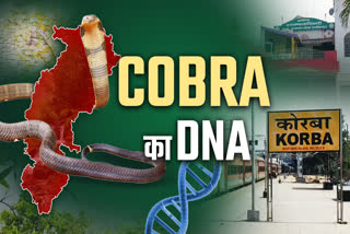 DNA ANALYSIS OF KING COBRA