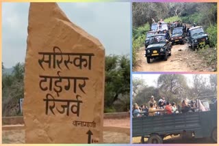 Sariska Tour for School students