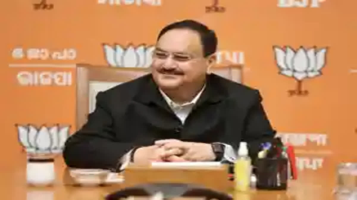 BJP chief J P Nadda will hold a series of meetings here on Sunday with the leaders of the party's state unit and also with the alliance partners as 2024 Lok Sabha elections near.