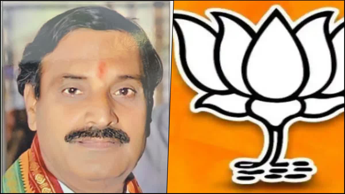 BJP Rajya Sabha ticket for Narayan Bhandage