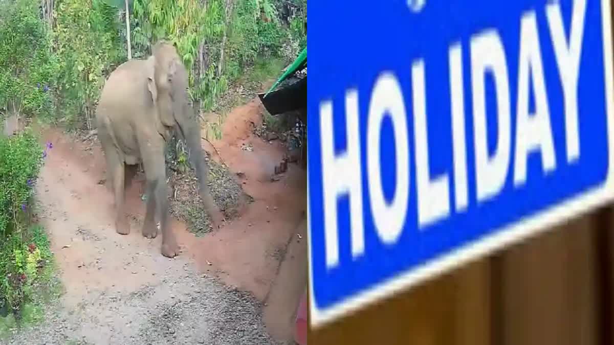Wild Elephant Attack in Wayanad  Holiday for educational institutes  വിദ്യാഭ്യാസ സ്ഥാപനങ്ങൾക്ക് അവധി  വയനാട്ടിൽ കാട്ടാന ആക്രമണം  വയനാട്ടിൽ കാട്ടാന ആക്രമണം