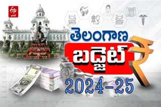 Telangana Budget 2024