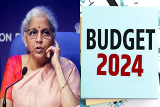 Research And Development Sector  India Budget 2024  R and D Sector Budget 2024  കേന്ദ്ര ഇടക്കാല ബജറ്റ്  ഗവേഷണ മേഖല ബജറ്റ് വിഹിതം