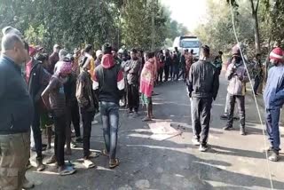 Haiwa crushed people while celebrating Sohrai festival in Pakur