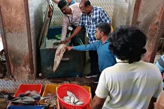Seized Rotten fishes from fish market