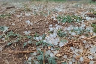 Unseasonal rain With hailstorm in Korba