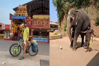 ಸ್ವಿಟ್ಜರ್ಲ್ಯಾಂಡ್​ ಪ್ರವಾಸಿ