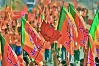 bjp declared Rajya Sabha candidates