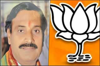 BJP Rajya Sabha ticket for Narayan Bhandage