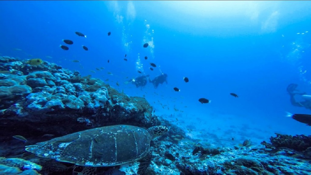 ಬಂಗಾರಂ ದ್ವೀಪ (ಚಿತ್ರ ಕೃಪೆ: lakshadweep.gov.in)