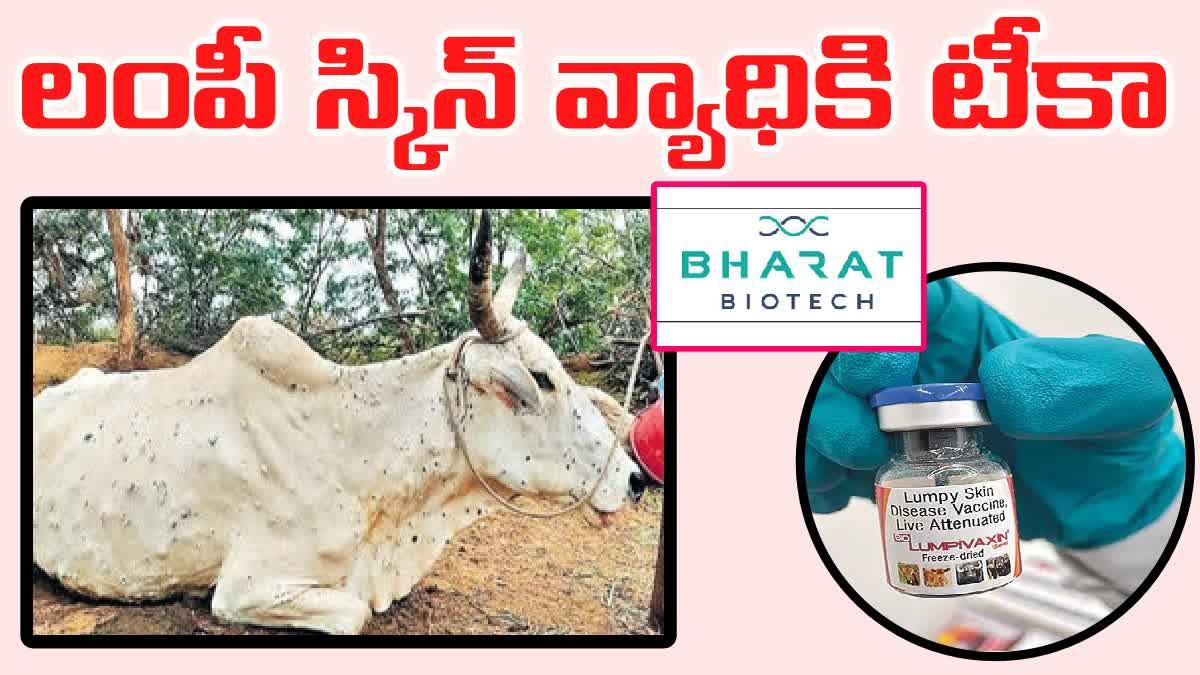 Bharat Biotech Company