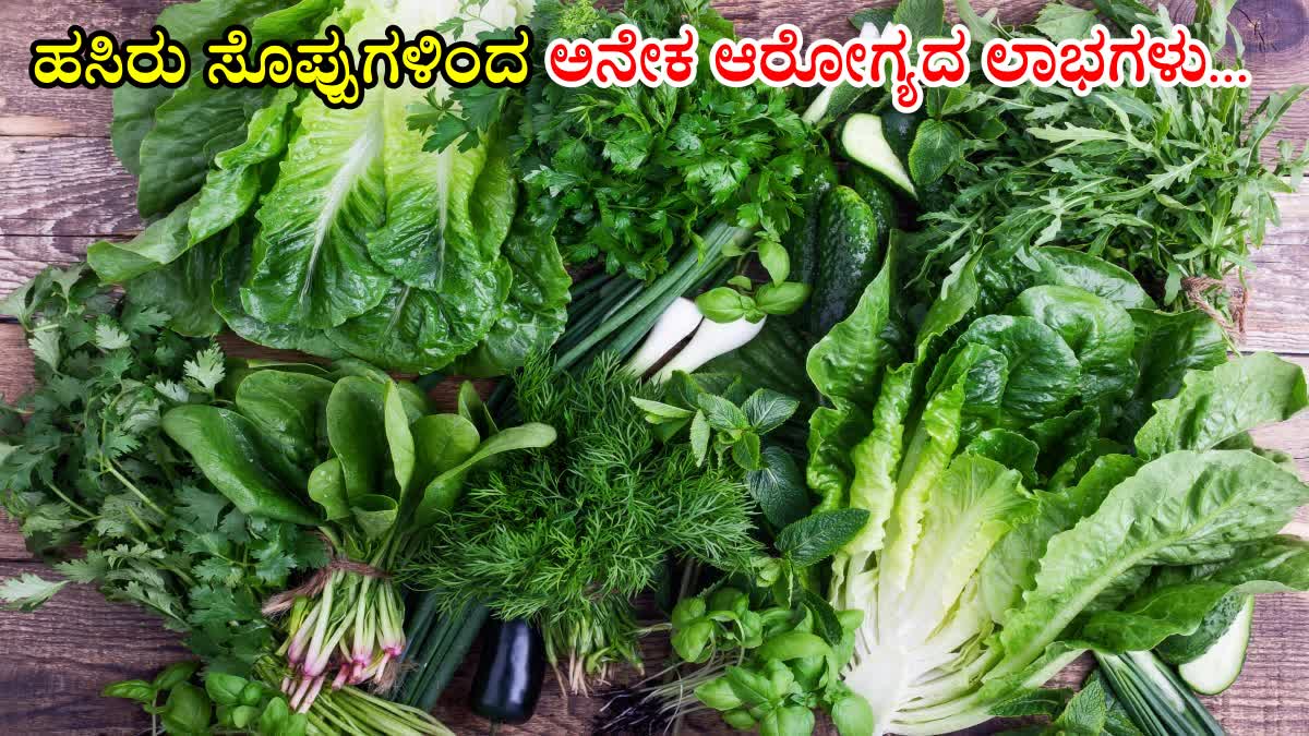 8 HEALTHIEST LEAFY GREEN VEGETABLES  HOW HEALTHY ARE LEAFY GREENS  ARE LEAFY GREENS GOOD FOR YOU  GREEN LEAFY VEGETABLES BENEFITS