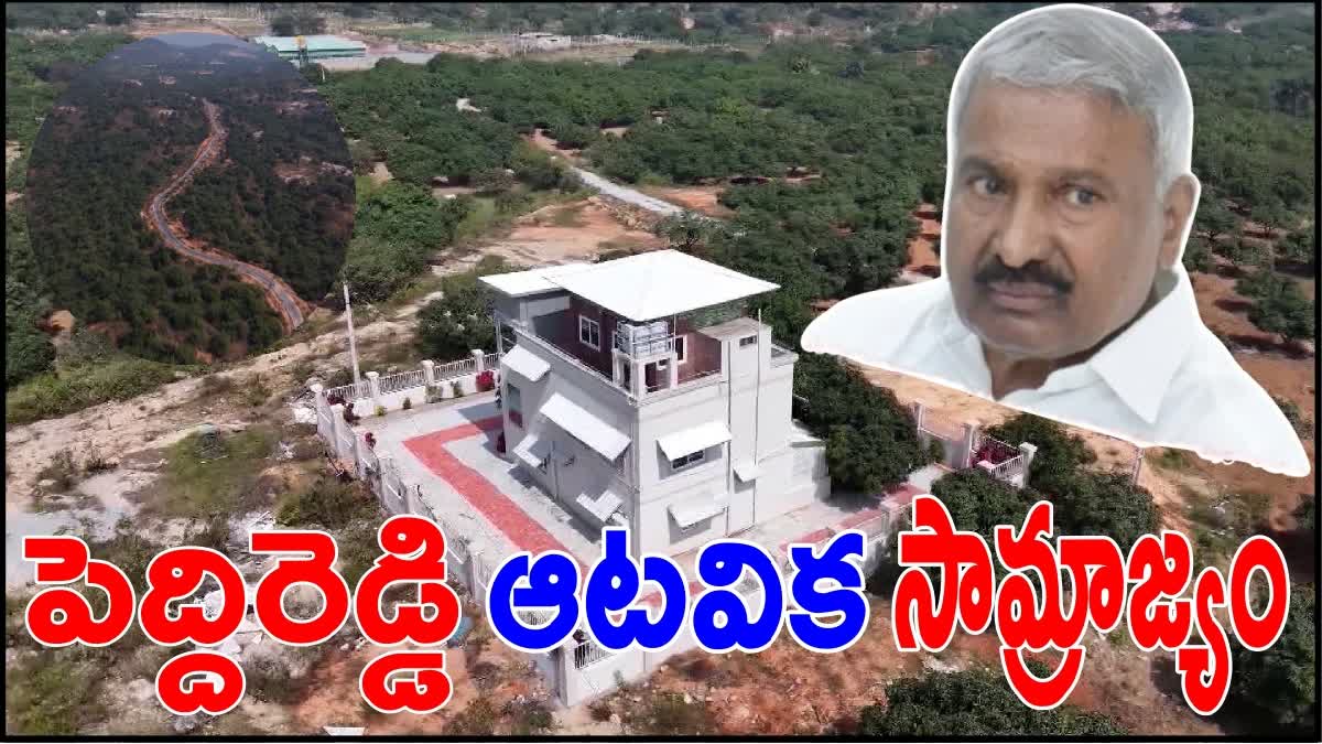 AP Ex Minister Peddireddy Land Scam