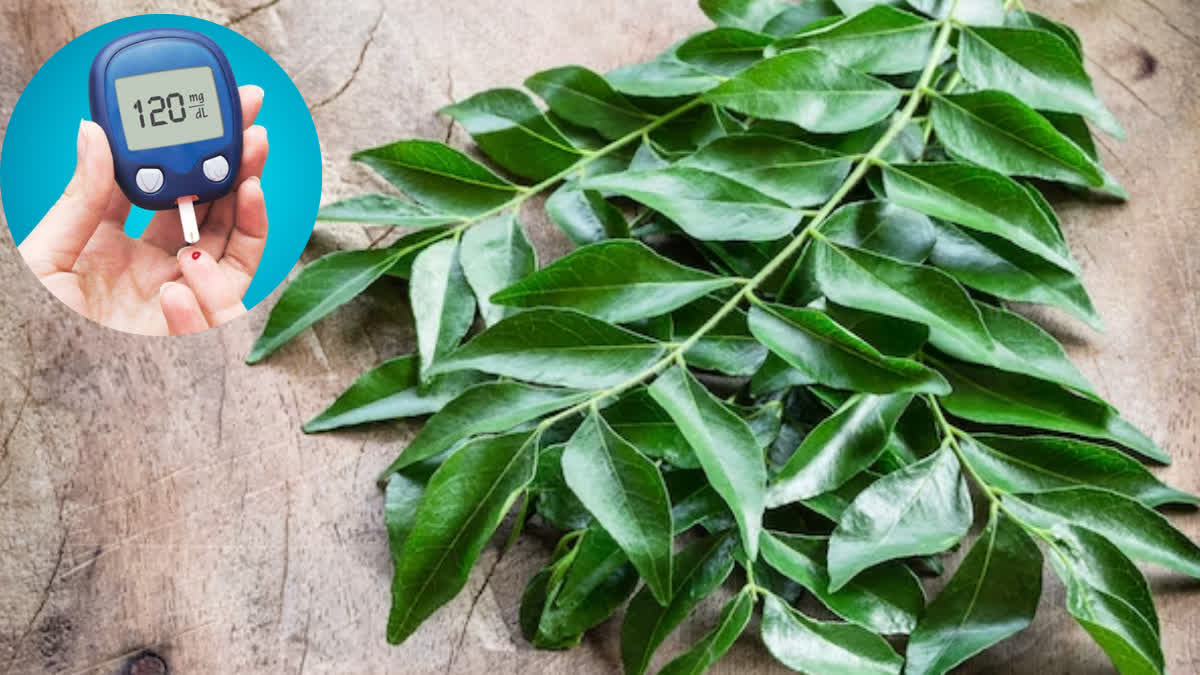 Can diabetes be controlled by eating neem leaves? Know the correct way to consume it?