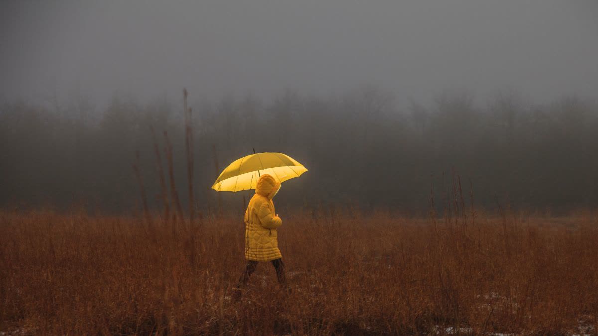 madhya pradesh rain Storm alert