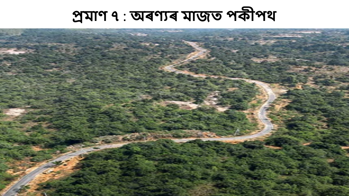 Peddireddi forest land encroachment