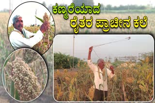 Chikkodi farmer following traditional methods to save crops from birds