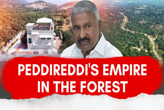 How Peddireddi Ramachandra Reddy Usurped Mangalampet Reserve Forest Land Using His Unbridled Powers