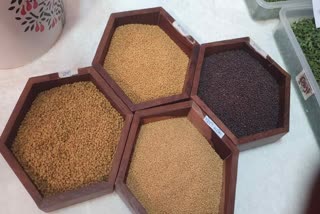 Despite witnessing a boom in spice production, traders rue lack of policy in Rajasthan