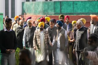 Punjab AAP MLAs Pledge Loyalty To Arvind Kejriwal After Party's Delhi Election Debacle