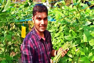 LOW INCOME AND DOUBLE PROFIT  YOUNG FARMER NAVAJITH  ജൈവ കൃഷി  ORGANIC FARMING  Etv Bharat