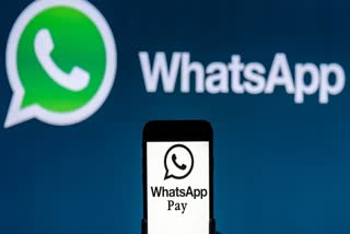 WHATSAPP BILL PAYMENT SERVICE  WHATSAPP PAY FEATURE  BILL PAYMENT FROM WHATSAPP  WHATSAPP NEW FEATURE