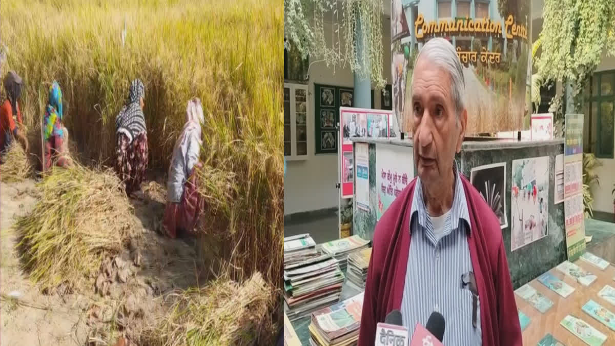 Dr.Khush who gave new varieties of paddy, gave his thoughts about MSP