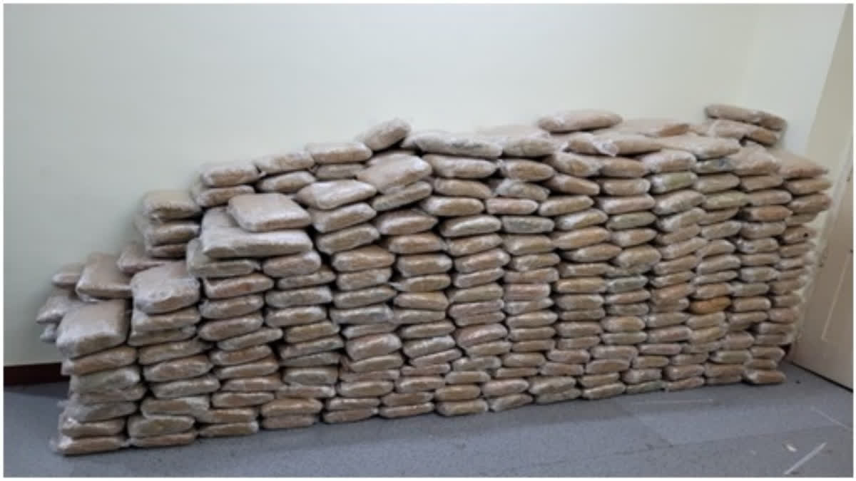 Trichy Customs Preventive Unit thwarted a major smuggling operation and seized a large quantity of hashish worth Rs 110 crore and ganja worth Rs. 1.05 crore from Tamil Nadu’s Pudukottai district, officials said on Monday.