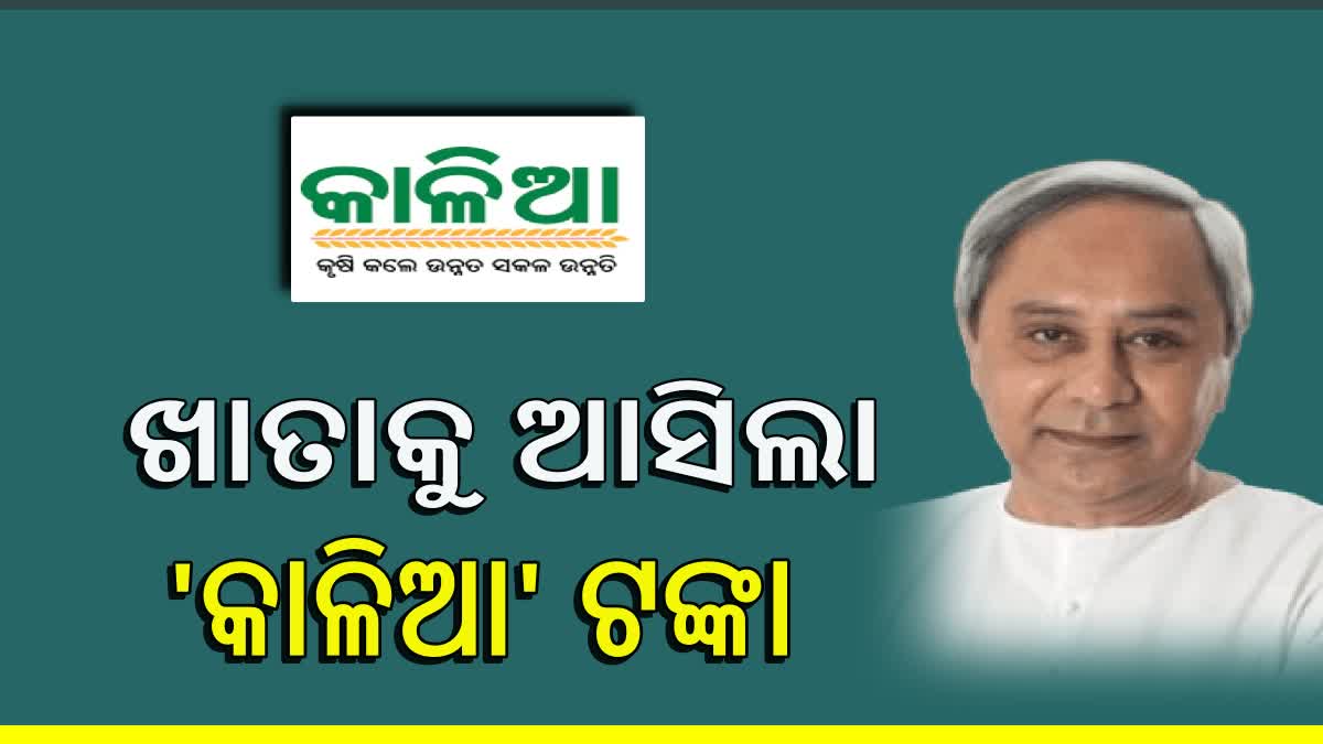 ୩ ବର୍ଷ ବଢ଼ିଲା କାଳିଆ ଯୋଜନା ଅବଧି; ୪୬ ଲକ୍ଷ ଚାଷୀଙ୍କ ଖାତାକୁ ଗଲା ୯୩୩ କୋଟିରୁ ଅଧିକ ସହାୟତା